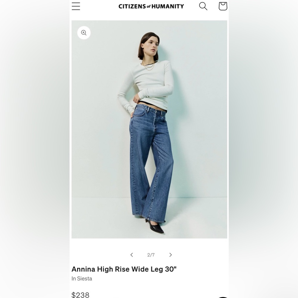 Citizens Of Humanity Annina High Rise Wide Leg Jeans